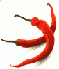 ExstraPedas's Avatar