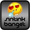 sintinkbanget's Avatar