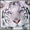 Duality's Avatar