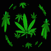 dinx's Avatar