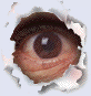 ukid's Avatar