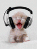 riobig's Avatar