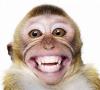 LittleMonkey's Avatar