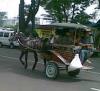 oranggarut's Avatar