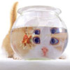 MissBunda's Avatar