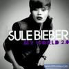 sulebieber's Avatar