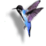 tokodigi's Avatar