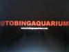 tobingaquarium's Avatar