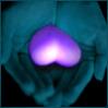 swarnet's Avatar