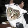 moomoofx's Avatar