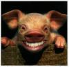 FootbalCeleng's Avatar