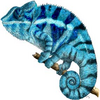 zynhez's Avatar
