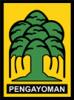chodil