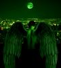 Sabogreen's Avatar