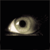 illuminatus's Avatar