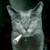 mengakali's Avatar