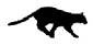 TaufiqR's Avatar
