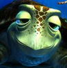 Cronoz's Avatar