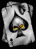 PokerMan's Avatar