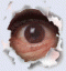 ukid's Avatar