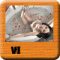 VirgiiL
