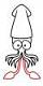 saltedsquid