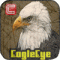 EagleEye