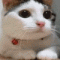 Myself's Avatar