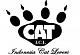 All Abouth Cat.